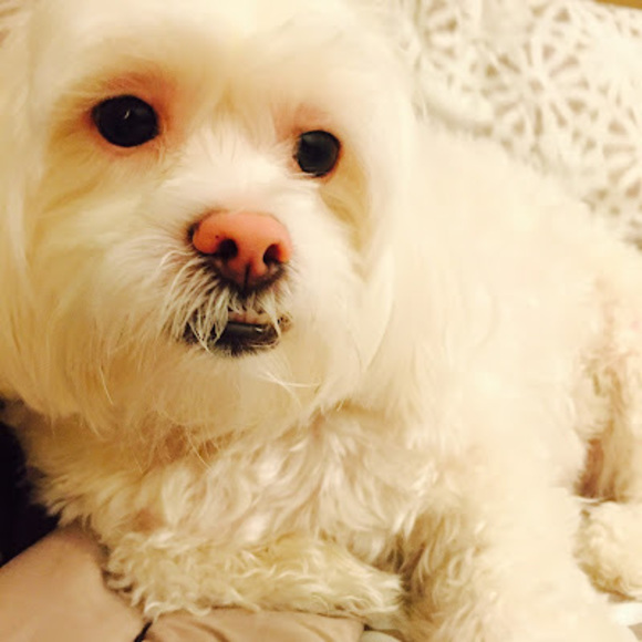 Meet your Posher, Denise - Picture 1 of 1